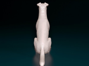 Smooth Fox terrier sitting 3D Print Model