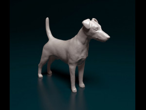 Smooth Fox terrier 3D Print Model