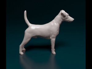 Smooth Fox terrier 3D Print Model