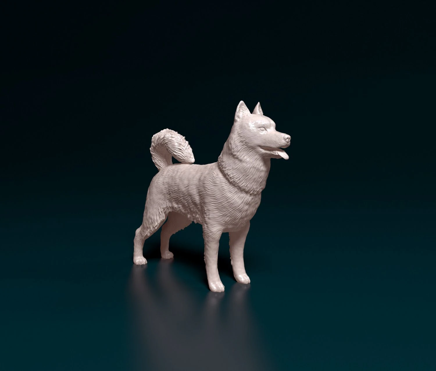 Siberian Husky 3D Print Model .c4d .max .obj .3ds .fbx .stl .blend
