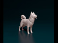 Siberian Husky 3D प्रिंट मॉडल