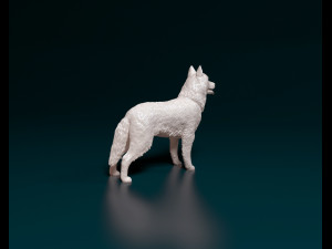 Siberian Husky Modelo de Impressão 3D