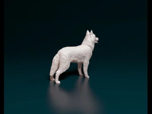 Siberian Husky 3D Print Model