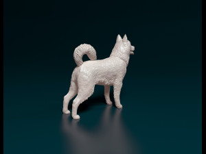 Siberian Husky Modelo de Impressão 3D