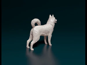 Siberian Husky 3D Print Model