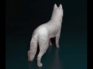 Siberian Husky 3D Print Model