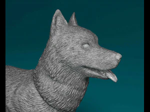 Siberian Husky 3D Print Model