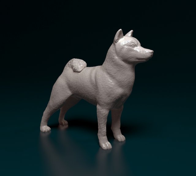 Shiba Inu 3D 프린트 모델 .c4d .max .obj .3ds .fbx .stl .blend 