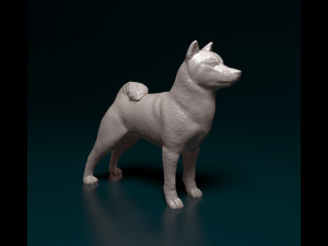 Shiba Inu 3D Print Model