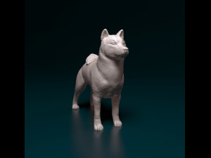 Shiba Inu 3D 프린트 모델