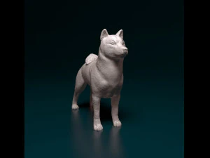 Shiba Inu 3D Print Model