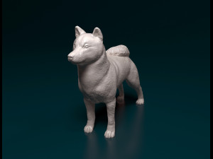 Shiba Inu 3D 프린트 모델