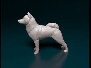 Shiba Inu 3D 프린트 모델