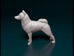 Shiba Inu 3D Print Model