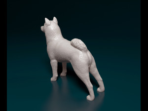 Shiba Inu 3D 프린트 모델