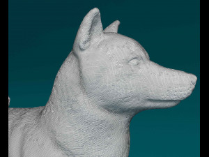 Shiba Inu 3D 프린트 모델