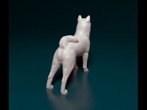 Shiba Inu 3D 프린트 모델