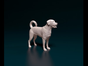 Labrador x Rottweiler 3D Baskı Modeli