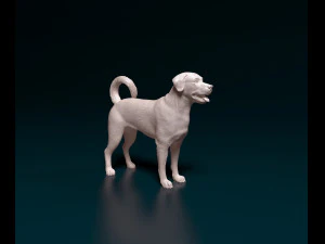 Labrador x Rottweiler Modelo de Impressão 3D