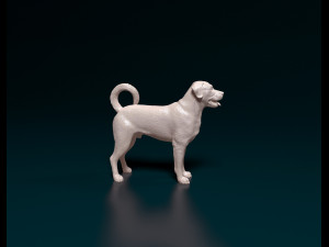Labrador x Rottweiler 3D Baskı Modeli