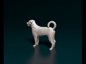 Labrador x Rottweiler 3D Baskı Modeli