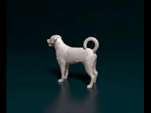 Labrador x Rottweiler 3D Print Model
