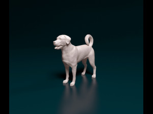 Labrador x Rottweiler 3D Baskı Modeli