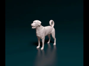 Labrador x Rottweiler 3D Print Model
