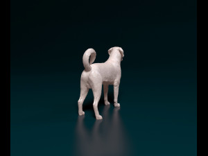 Labrador x Rottweiler 3D Baskı Modeli