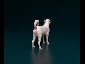 Labrador x Rottweiler 3D Print Model