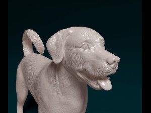 Labrador x Rottweiler 3D Baskı Modeli