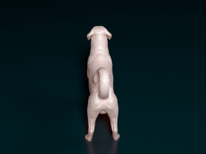 Labrador x Rottweiler 3D Baskı Modeli