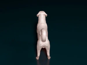Labrador x Rottweiler 3D Print Model