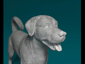Labrador x Rottweiler 3D Print Model