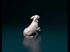 Miniature Pinscher 3D Print Model