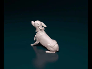 Miniature Pinscher 3D Print Model
