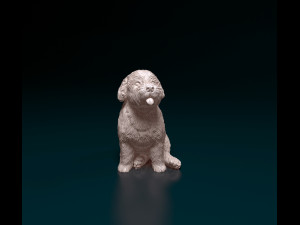 Miniature Schnauzer sitting Model do druku 3D