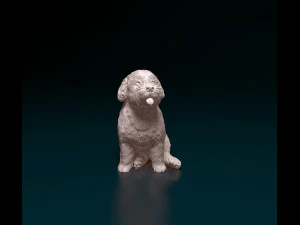 Miniature Schnauzer sitting 3D Print Model