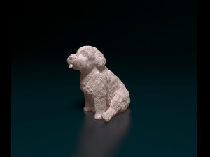 Miniature Schnauzer sitting Model do druku 3D
