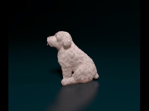 Miniature Schnauzer sitting Model do druku 3D