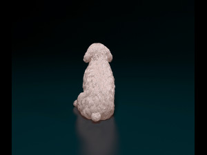 Miniature Schnauzer sitting Model do druku 3D