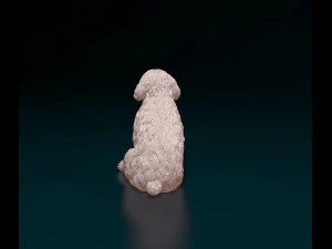 Miniature Schnauzer sitting 3D Print Model