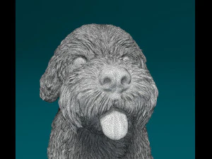 Miniature Schnauzer sitting 3D Print Model