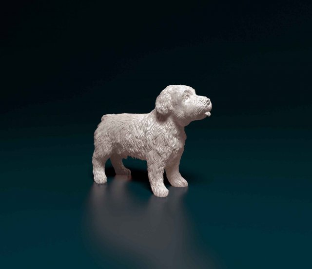 Miniature Schnauzer 3D 프린트 모델 .c4d .max .obj .3ds .fbx .stl .blend