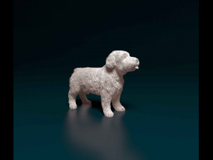 Miniature Schnauzer 3D Print Model