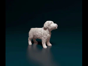 Miniature Schnauzer 3D Print Model