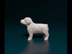 Miniature Schnauzer 3D 프린트 모델