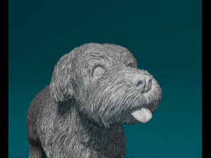 Miniature Schnauzer 3D 프린트 모델