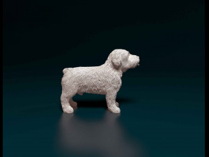 Miniature Schnauzer 3D 프린트 모델