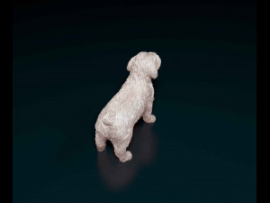 Miniature Schnauzer 3D 프린트 모델
